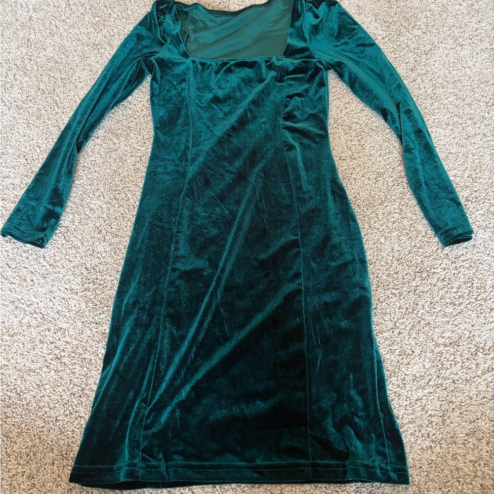 Shrek Fiona Costume - Picture 2 of 4